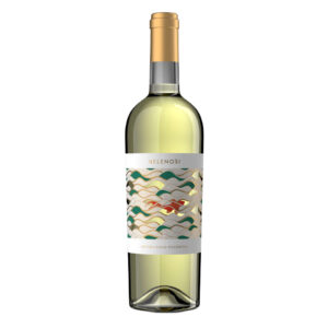 Marche Vini Bianchi e Rosati